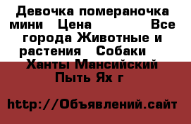 Девочка помераночка мини › Цена ­ 50 000 - Все города Животные и растения » Собаки   . Ханты-Мансийский,Пыть-Ях г.